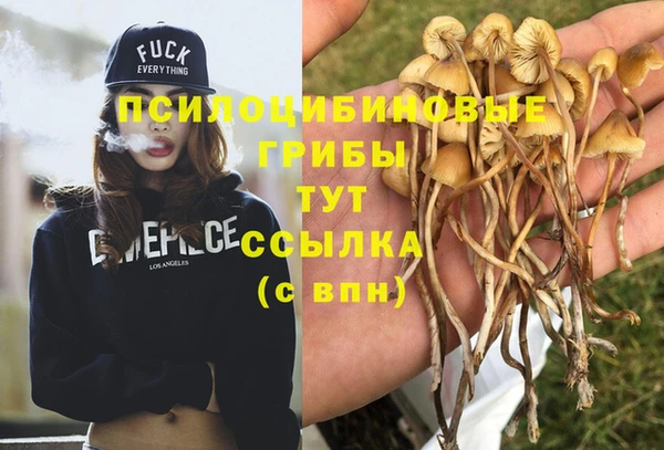 синтетический гашиш Балахна