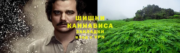 ПСИЛОЦИБИНОВЫЕ ГРИБЫ Осинники