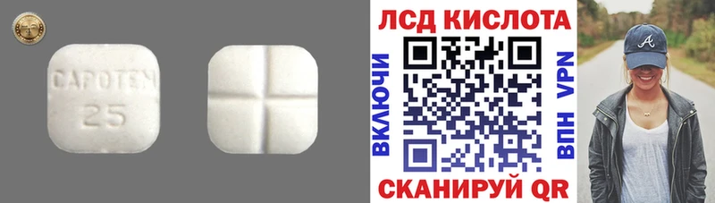 ЛСД экстази кислота дарнет шоп omg ссылки Лермонтов
