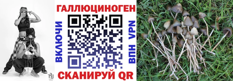 Псилоцибиновые грибы GOLDEN TEACHER  Лермонтов 